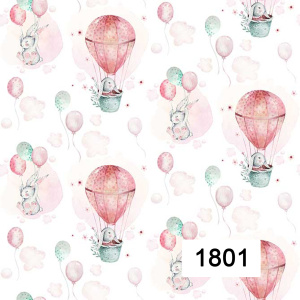 Baby 1801