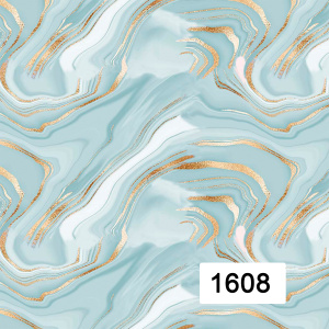 Savio 1608-1609