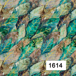 Savio 1614-1617