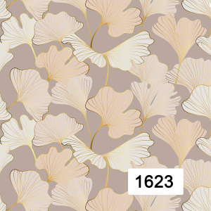 Savio 1623-1629
