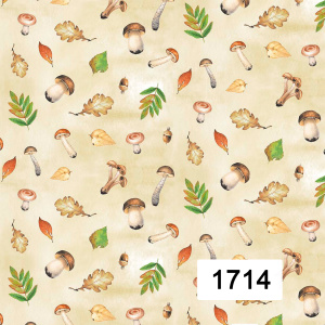 Savio 1714